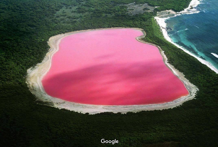 Lake Hillier lago rosa.png