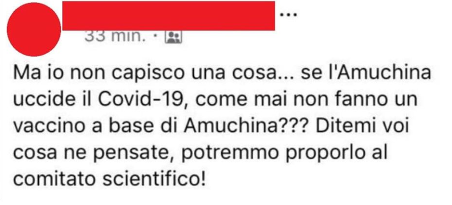 fake news coronavirus.png
